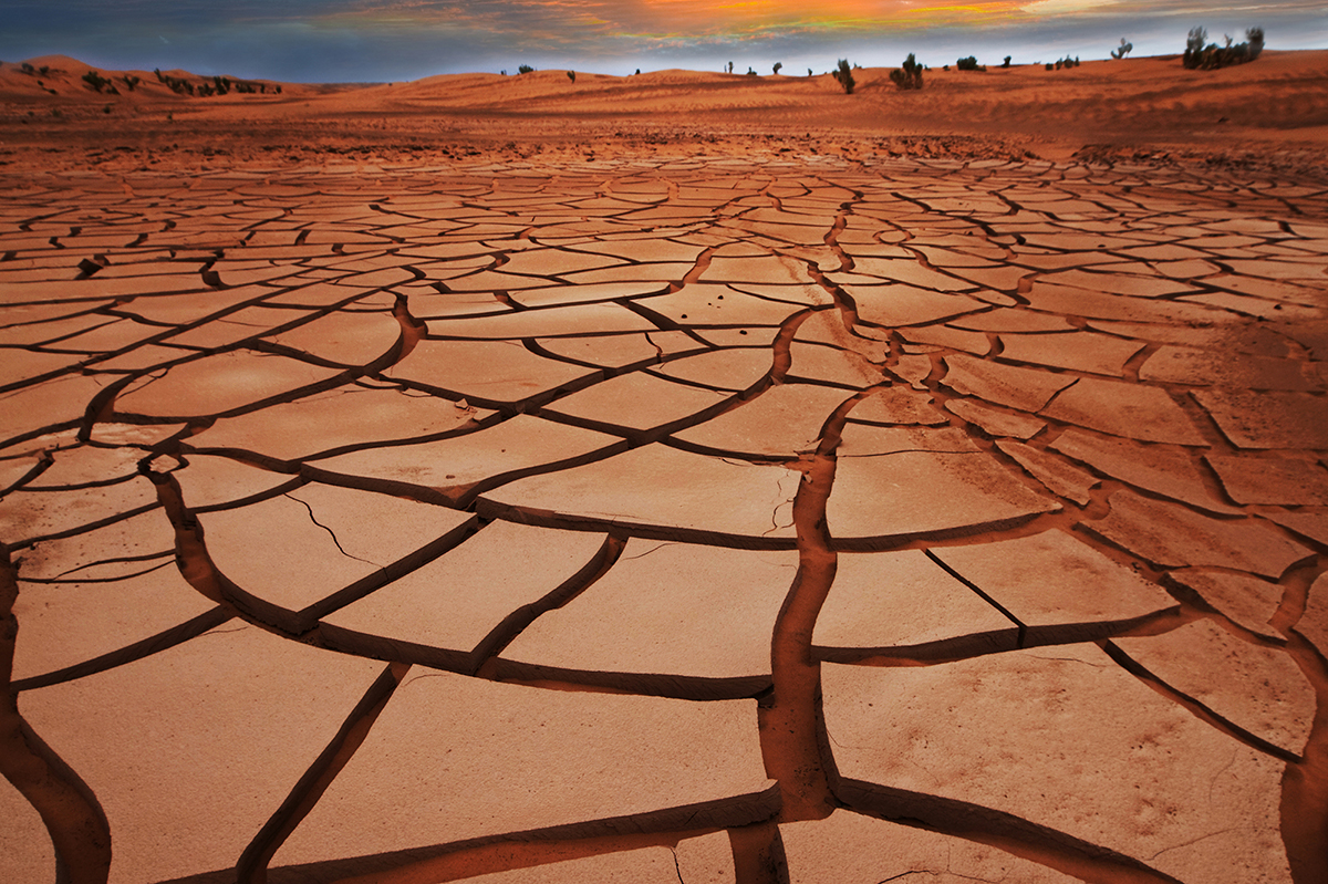 dry-soil-heatwave-effects-ecosystems